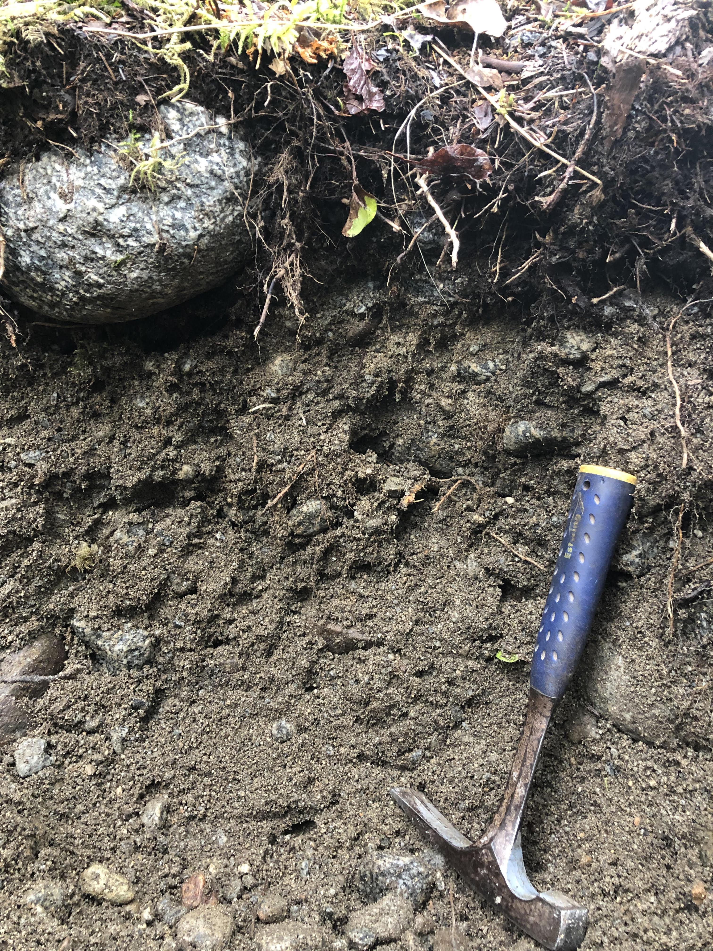 Research – Slessarev Lab